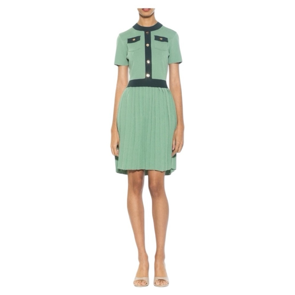 NWOT Alexia Admor Anders Short Sleeve Pleated
Fit & Flare Dress in Sage